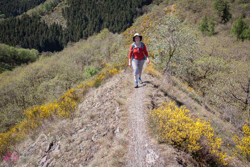 Wanderfüherer Leetrail und Eislek Trail